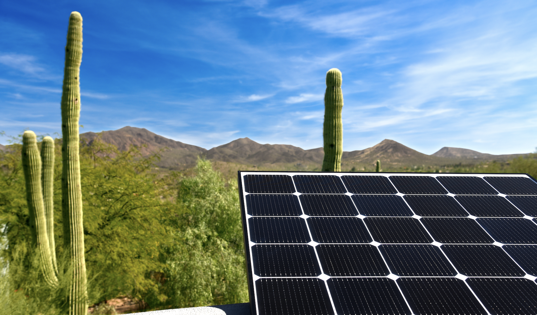 cactus with solar panel