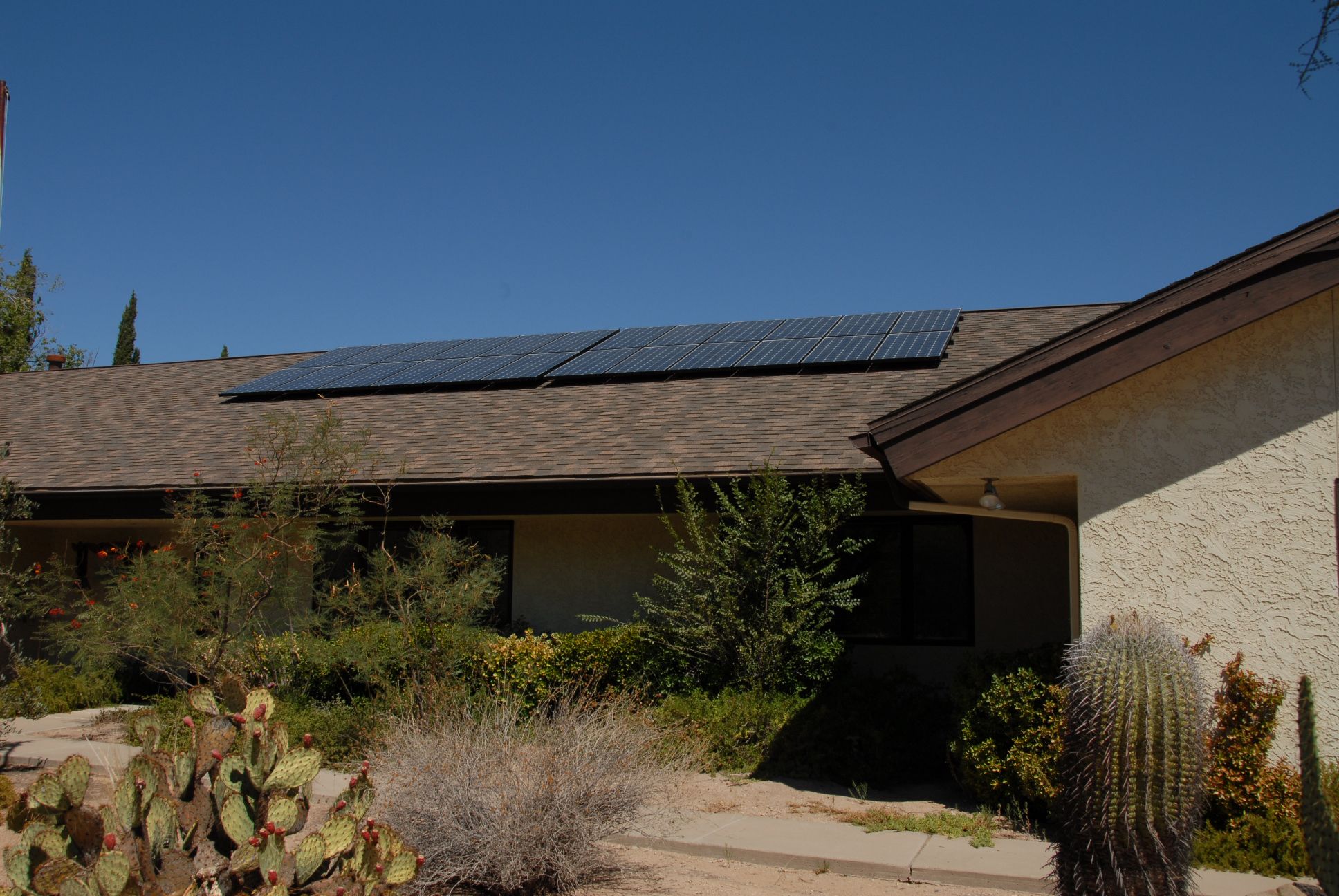 Solar panels on house with plants