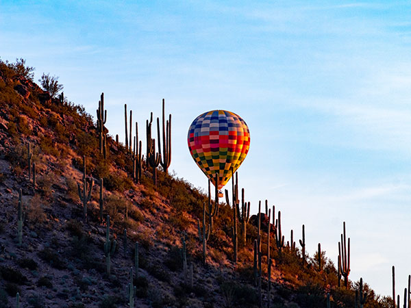 hot air ballon over cacti