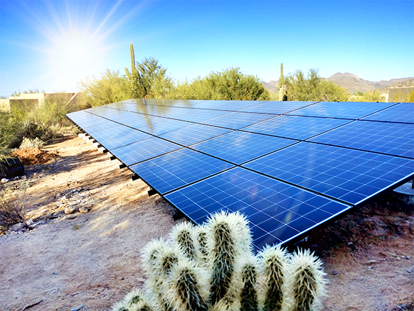 ground mounted solar panel with cactus