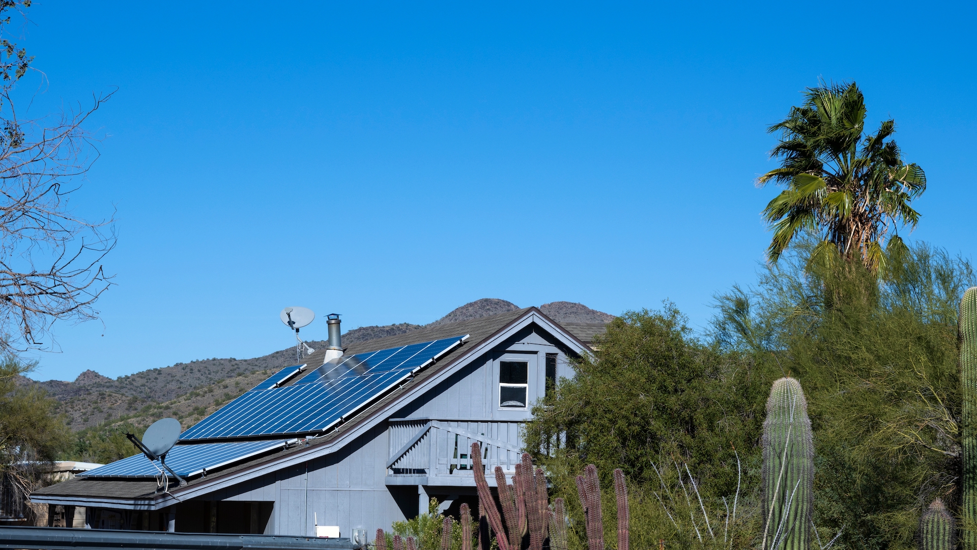 Solar panels on rooftop of blue home in Arizona with palm tree to the right and cacti in the foreground