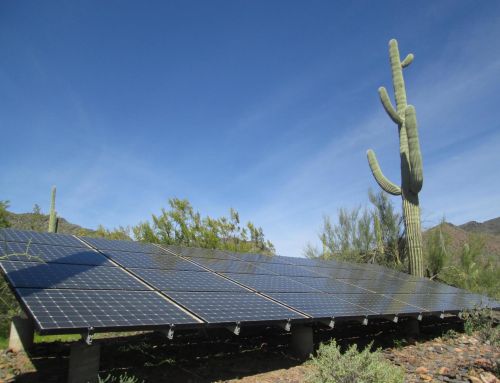 Ground-Mounted Solar Panels: Complete Cost Breakdown
