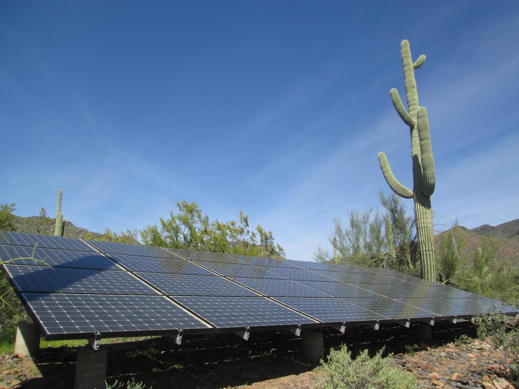 Ground mounted solar panels in Arizona with cactus in the background