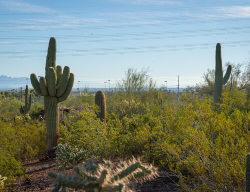 Will Electricity Costs Ever Go Down in Arizona?